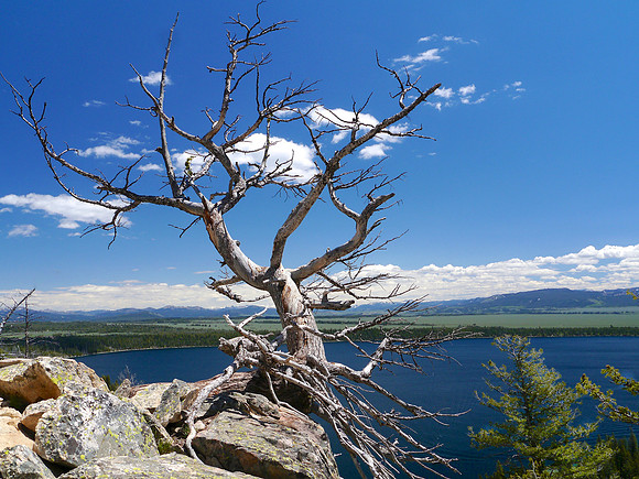 Inspiration Point,