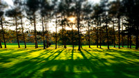 Evening light, North Hartley, Eastern Townships, Quebec