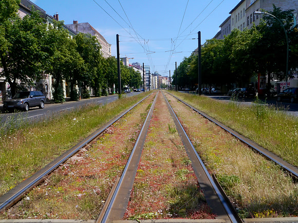 Trams everywhere.