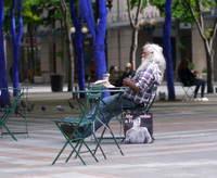 Seattle tramp takes a rest.
